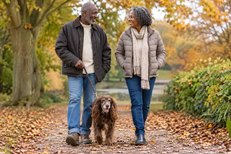 Older couple walking a mature spaniel along an autumn park path