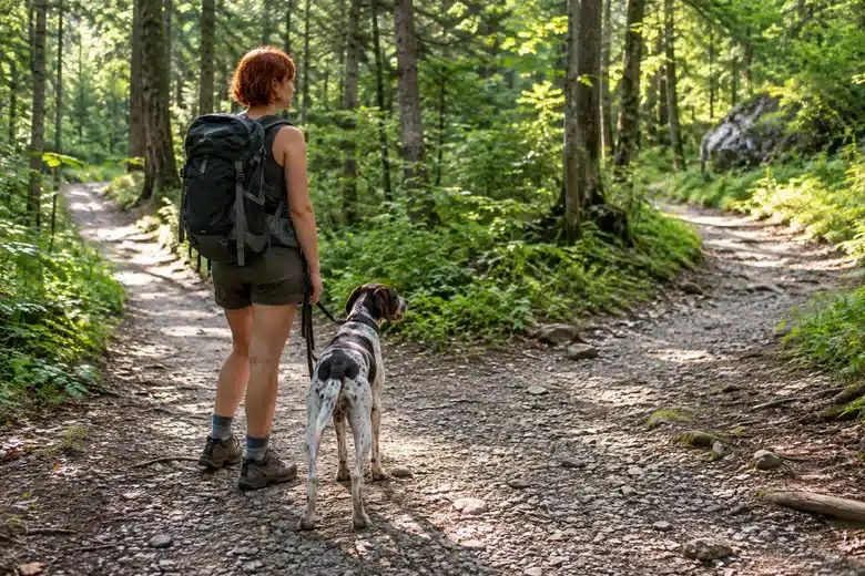 Woman and spotted dog paused where a woodland path divides