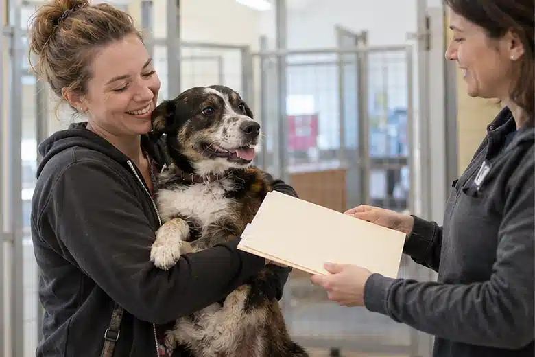 Can You Insure a Rescue Dog?