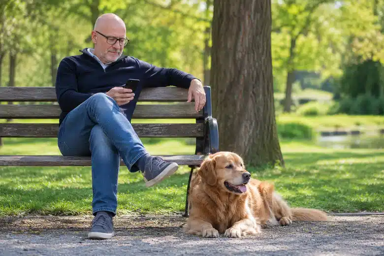 Man using a phone on a park bench with a golden retriever resting beside him