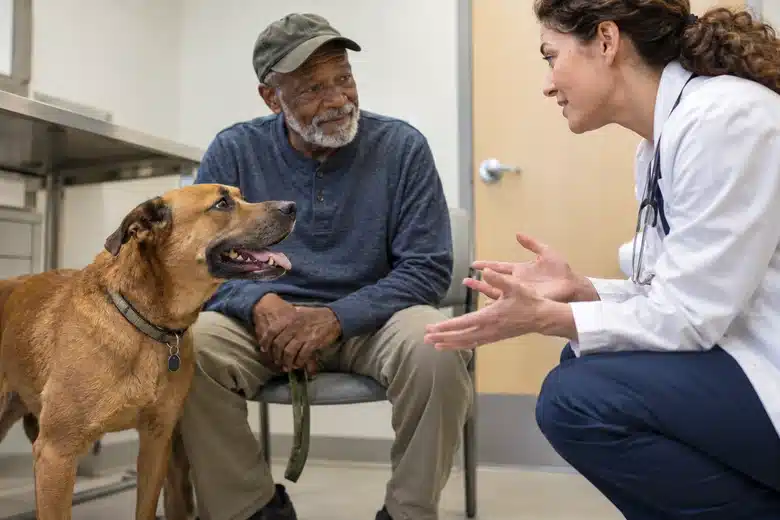 Dog owner discussing veterinary care in a plain consultation room