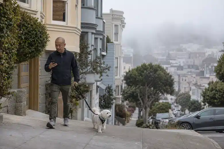 Man checking a phone while walking a small white dog on a foggy sloping residential street