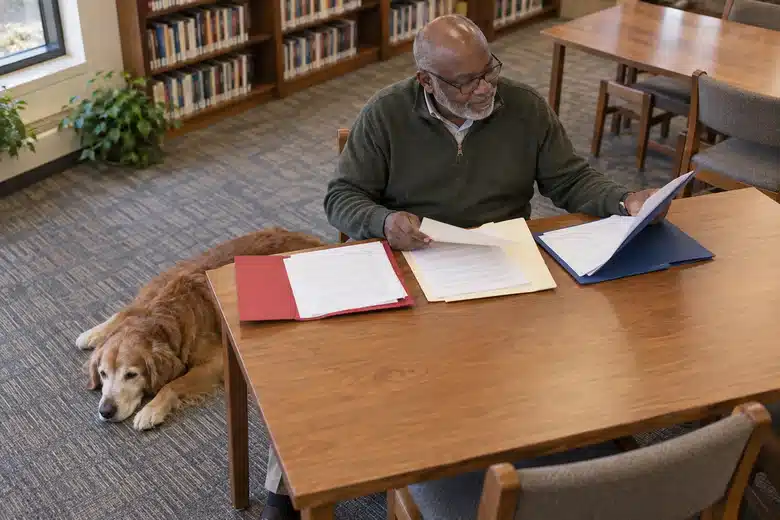 Older dog owner comparing folders at a library desk