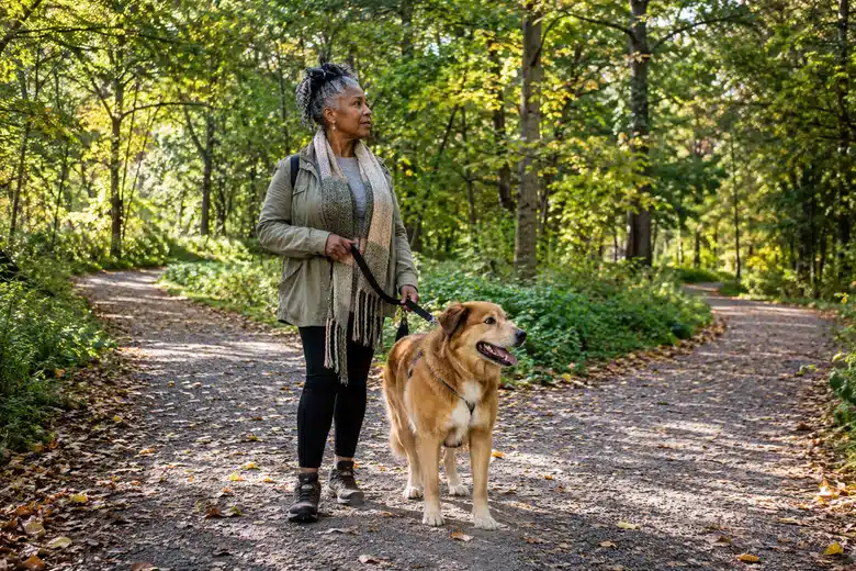 Older woman and dog pausing at a fork in a wooded park path
