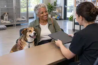 Dog Insurance Plans
