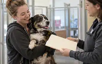 Can You Insure a Rescue Dog?