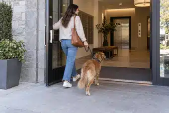 Dog Liability Insurance for Renters